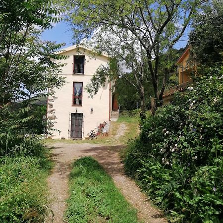 Seùlo Stellaria Casa Vacanze In Montagna Panorama Stupendo Sardegna מראה חיצוני תמונה