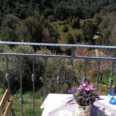 Seùlo Stellaria Casa Vacanze In Montagna Panorama Stupendo Sardegna מראה חיצוני תמונה
