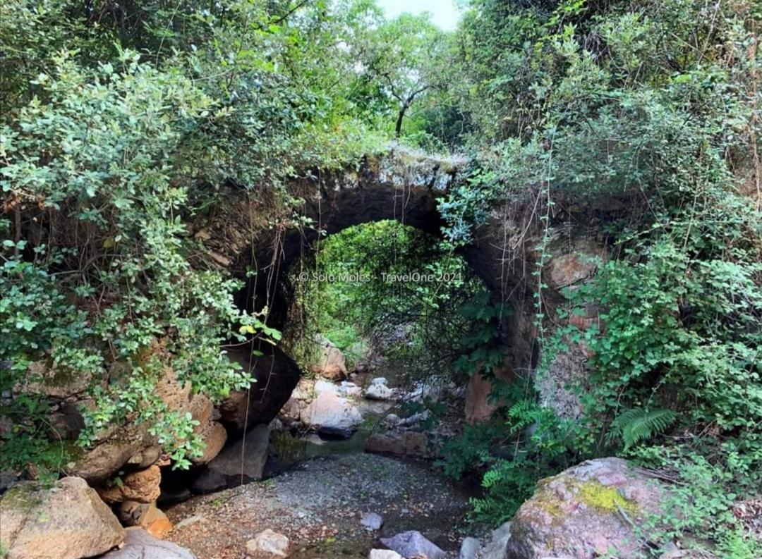 Seùlo Stellaria Casa Vacanze In Montagna Panorama Stupendo Sardegna מראה חיצוני תמונה