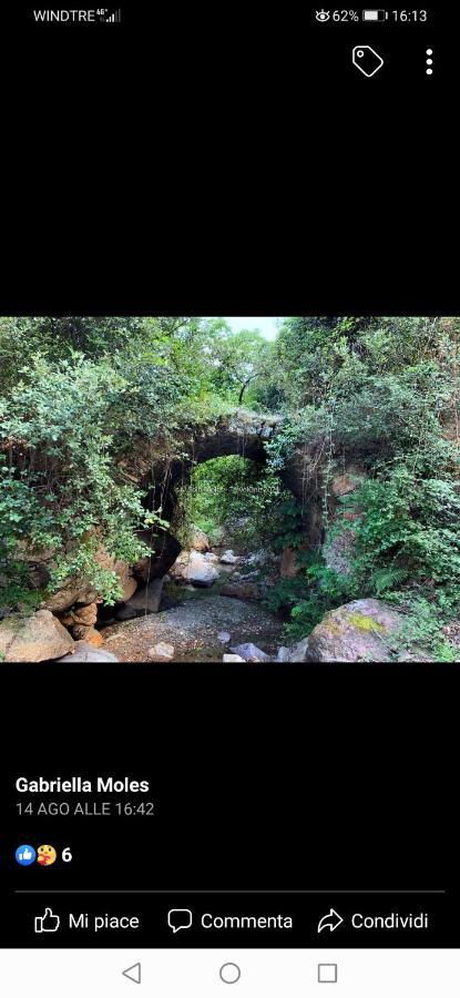 Seùlo Stellaria Casa Vacanze In Montagna Panorama Stupendo Sardegna מראה חיצוני תמונה