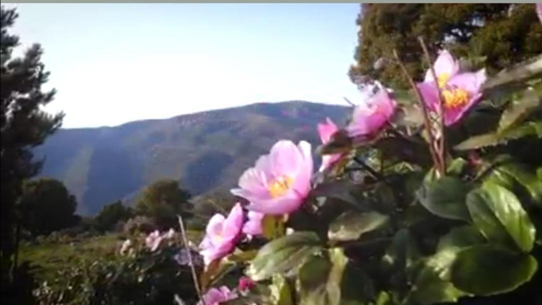 Seùlo Stellaria Casa Vacanze In Montagna Panorama Stupendo Sardegna מראה חיצוני תמונה