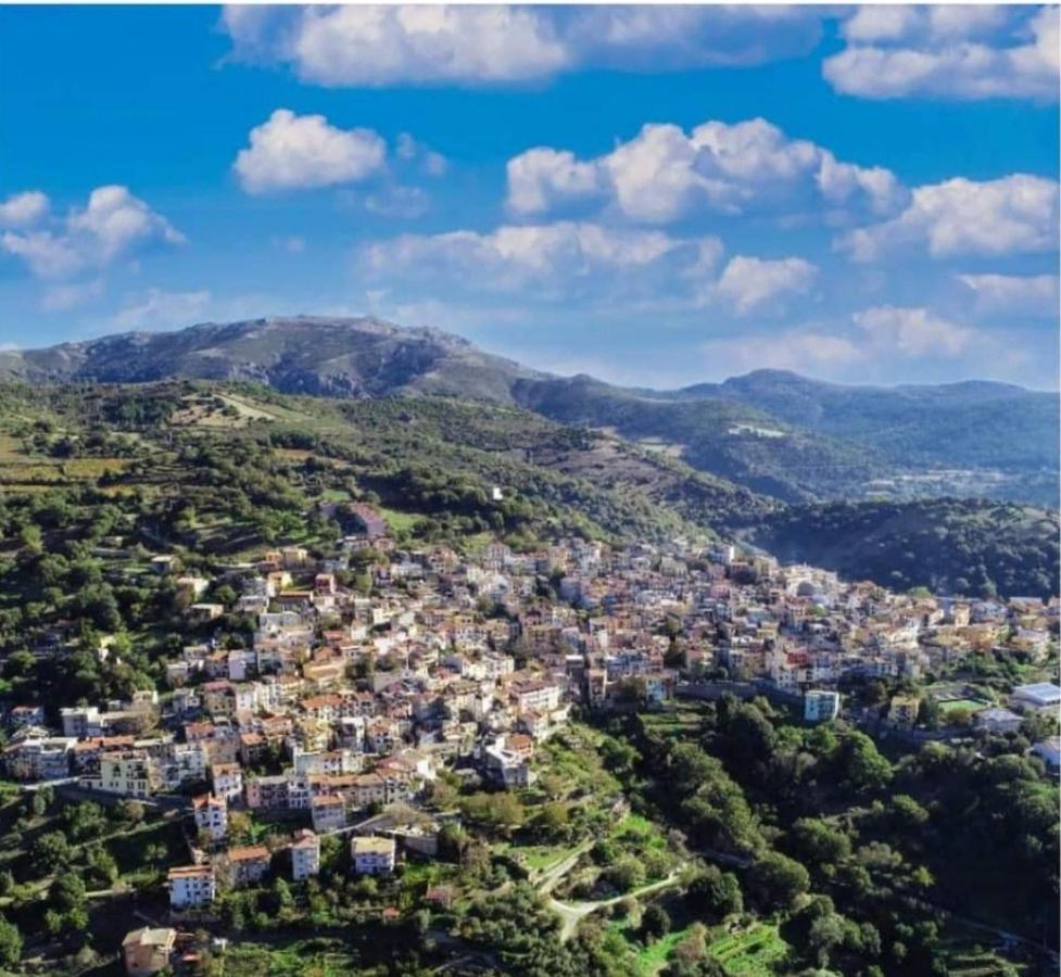 Seùlo Stellaria Casa Vacanze In Montagna Panorama Stupendo Sardegna מראה חיצוני תמונה