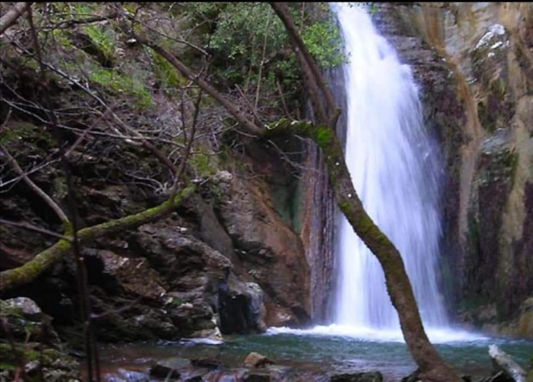 Seùlo Stellaria Casa Vacanze In Montagna Panorama Stupendo Sardegna מראה חיצוני תמונה