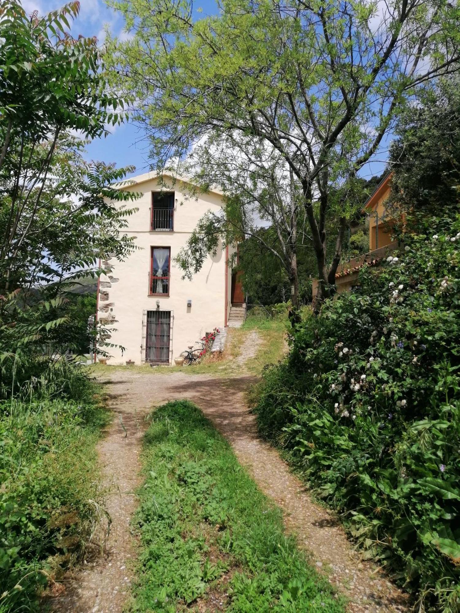Seùlo Stellaria Casa Vacanze In Montagna Panorama Stupendo Sardegna מראה חיצוני תמונה