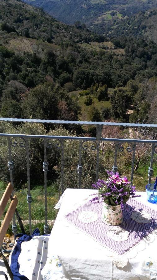 Seùlo Stellaria Casa Vacanze In Montagna Panorama Stupendo Sardegna מראה חיצוני תמונה