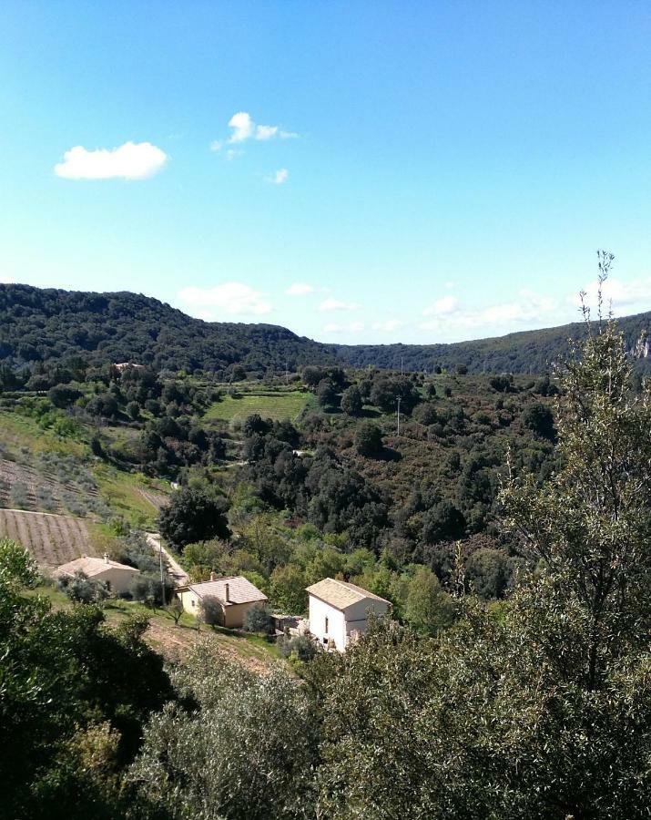 Seùlo Stellaria Casa Vacanze In Montagna Panorama Stupendo Sardegna מראה חיצוני תמונה