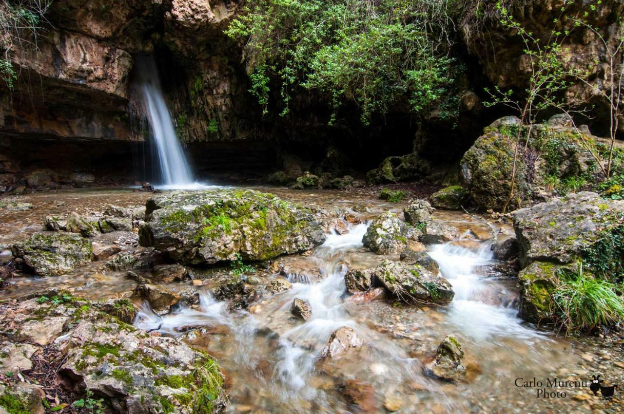 Seùlo Stellaria Casa Vacanze In Montagna Panorama Stupendo Sardegna מראה חיצוני תמונה