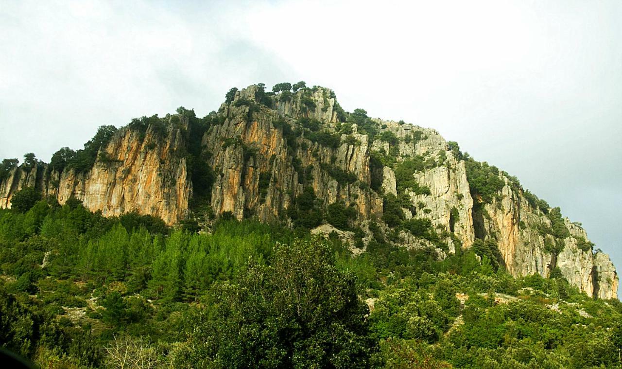 Seùlo Stellaria Casa Vacanze In Montagna Panorama Stupendo Sardegna מראה חיצוני תמונה