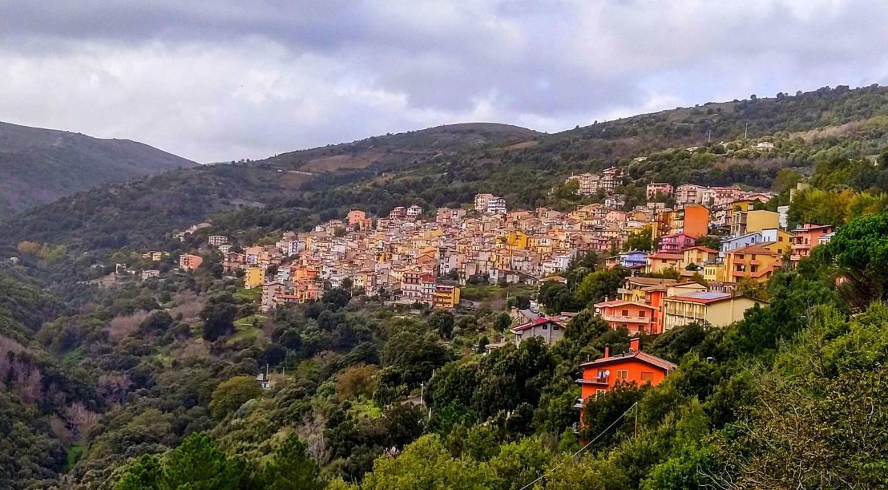 Seùlo Stellaria Casa Vacanze In Montagna Panorama Stupendo Sardegna מראה חיצוני תמונה